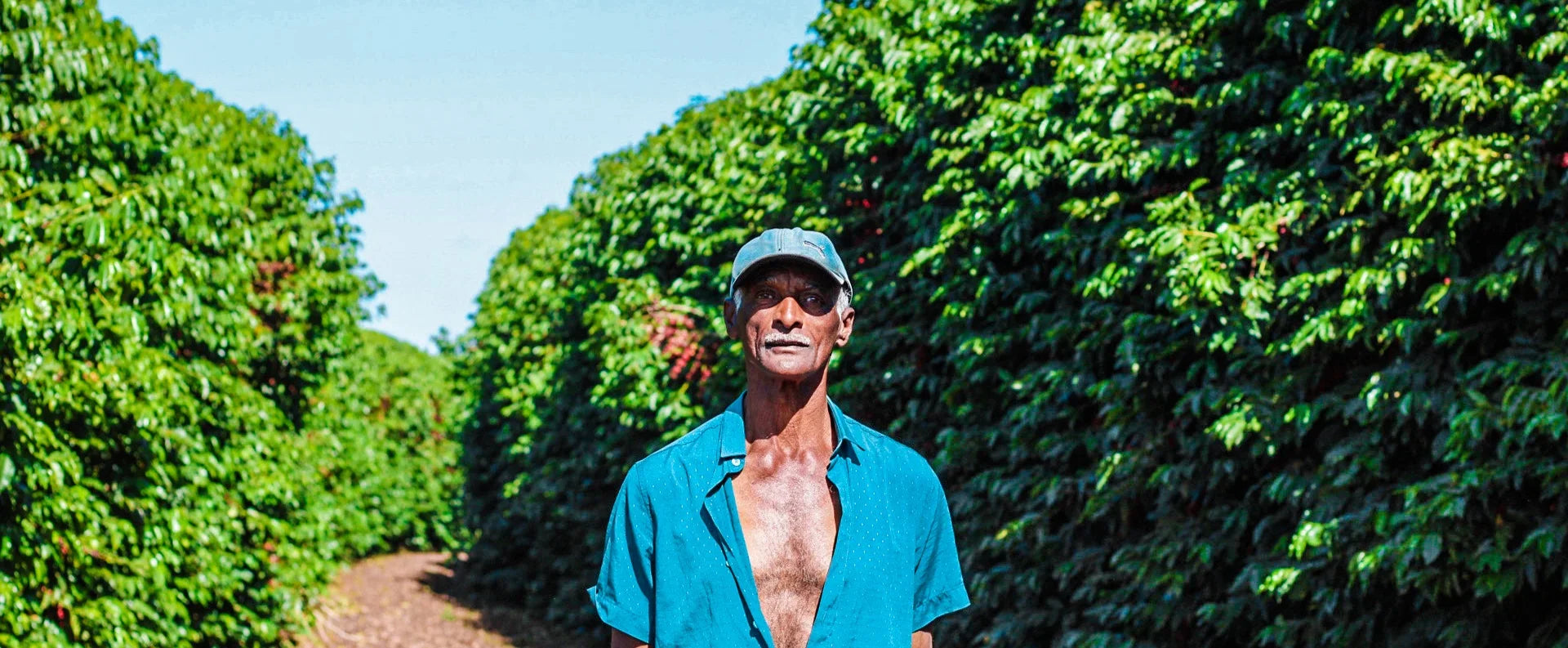Fazenda Santa Lúcia, Três Corações, Minas Gerais