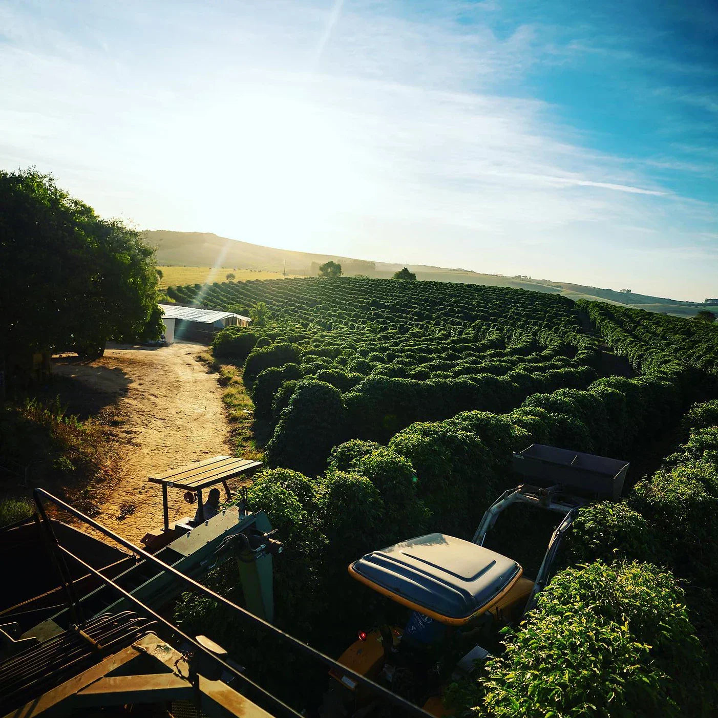 Jaguara Farm, São João Del Rei, Minas Gerais