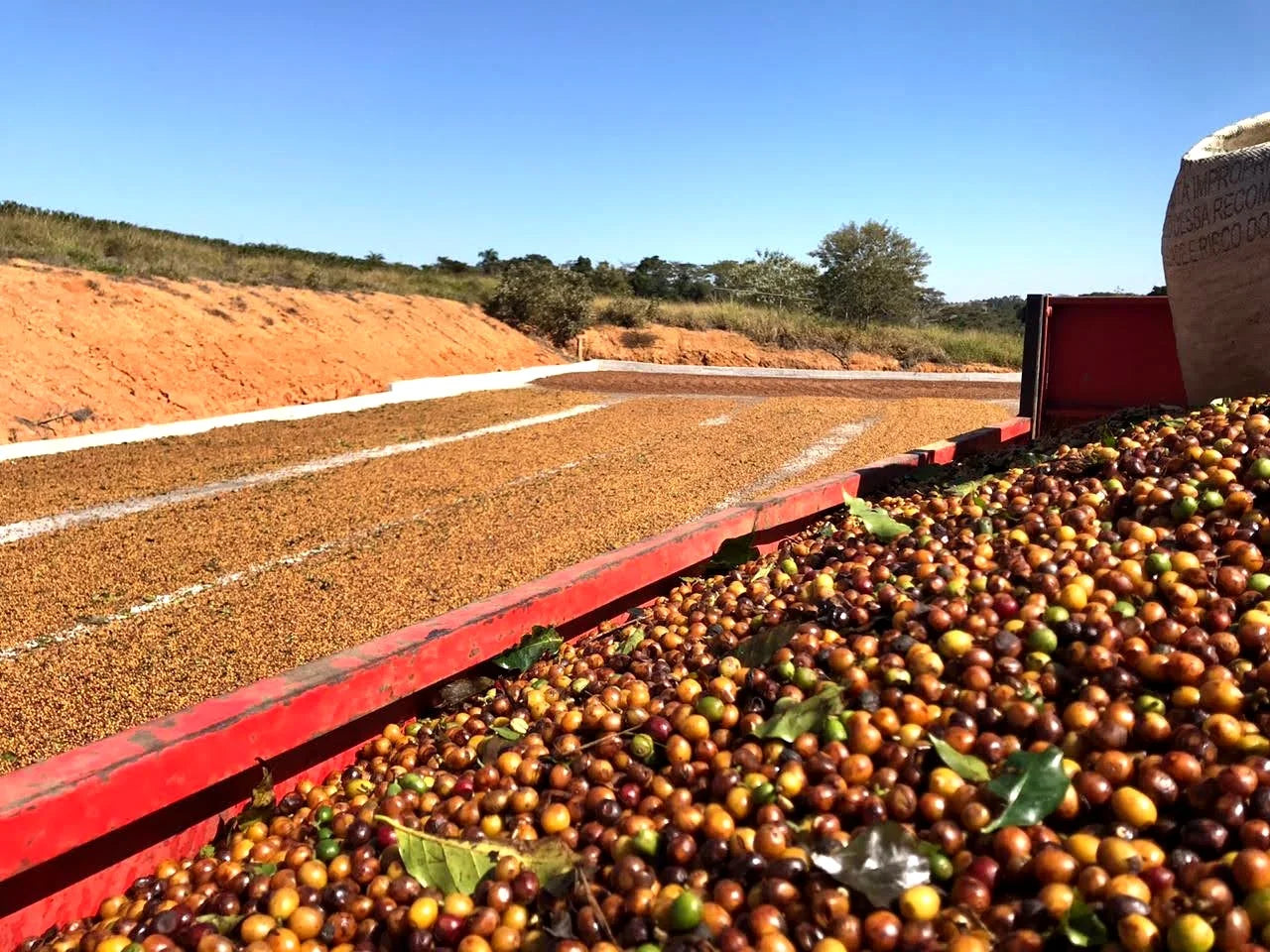 São Francisco Farm, São João Del Rei, Minas Gerais
