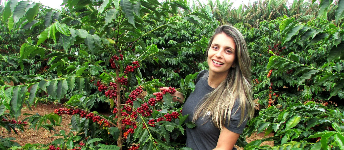Fazenda Vale do Sol, Elói Mendes, Minas Gerais