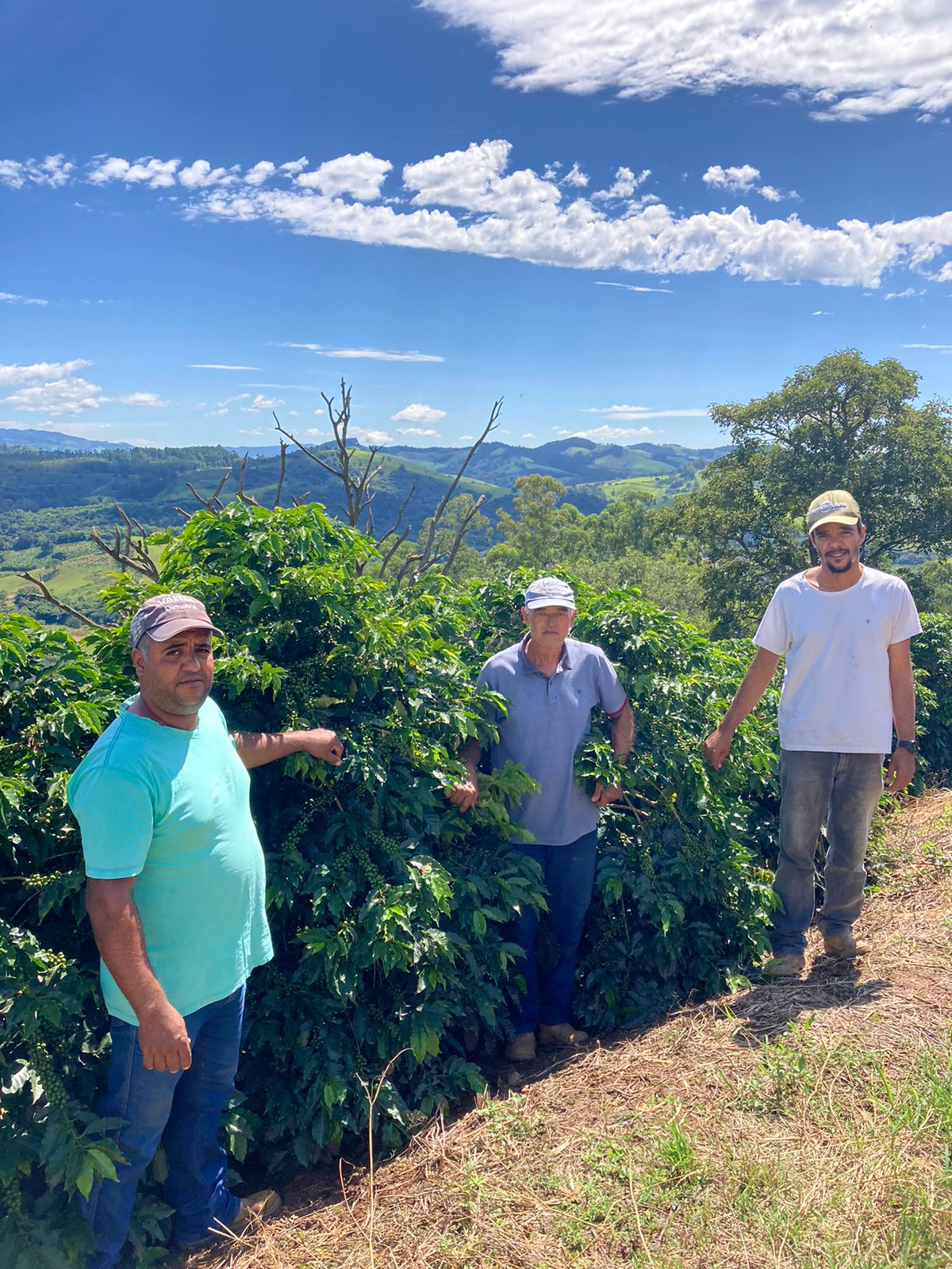 Sítio dos Italianos, Inconfidentes, Minas Gerais